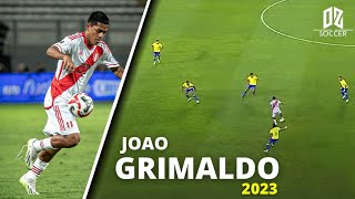 Joao Grimaldo vs Brasil ► DEBUT ● Selección Peruana 2023ᴴᴰ✔ [upl. by Dadivitan]