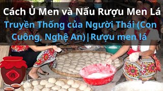 Cách Ủ Men và Nấu Rượu Men Lá Truyền Thống của Người Thái Con Cuông Nghệ AnRượu men lá [upl. by Pelagias118]