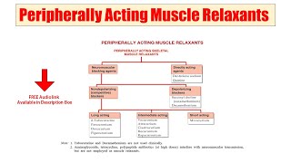 25 Peripherally Acting Muscle Relaxant  Skeletal Muscle Relaxants  Audio Classification of Drugs [upl. by Brittani]