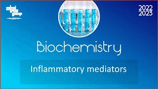 L1 Phospholipids  Cyclooxygenase Biochemistry [upl. by Yauqram]