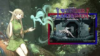 Record of Lodoss War Deedlit in Wonder Labyrinth [upl. by Adnovaj]