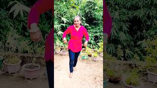 Babuji Zara Dheere Chalo❤️dance shorts viralshortvideo [upl. by Lsil319]