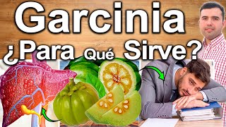 Garcinia Cambogia ¿Para Qué Sirve  Beneficios De La Garcinia Para Tu Salud [upl. by Bury]