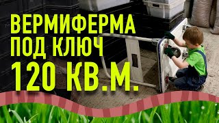 Вермиферма 120 квм Производство червей для рыбалки Дендробена Обзор вермифермы Вермитехнологии [upl. by Fusco]