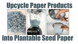 Upcycle Paper Products into Plantable Seed Paper  Science Project [upl. by Ammadas]