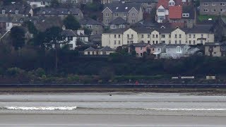 Tidal Bore by Grange Over Sands 21 Feb 2019 [upl. by Tally]