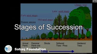 Stages of Succession Biology Lecture  Sabaqpk [upl. by Turne]