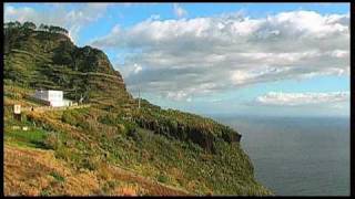 Plants at coast of Madeira near Funchal  Pflanzen Kakteen an Madeiras Küste [upl. by Assirroc]