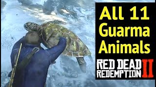 All 11 Guarma Animals in Red Dead Redemption 2 RDR2 Rare Green Turtle and Locations [upl. by Ijuy]