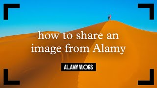 How to share an image from the Alamy site  Alamy Vlogs [upl. by Haceber]