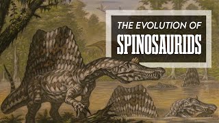 The Evolution of Spinosauridae [upl. by Acirtal145]