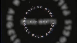 Sterl Gotti  “ Palm Angels “ Official Music Video Shot By CTFILMS [upl. by Mota]