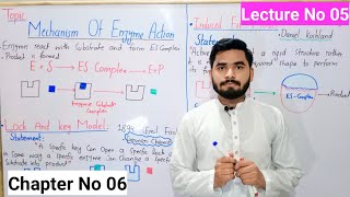 Mechanism Of Enzyme Action Class 9 In Urdu By HaiderAli  Lock And Key Model  Lec No 5  ChNo 6 [upl. by Stephi]