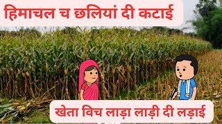 हिमाचल च छलियां दी बडाई l बहुएं सासु जो आफत पाई l Himachali Comedy Video [upl. by Weisberg406]