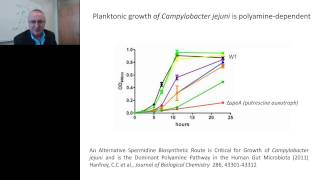 Anthony J Michael  Polyamines in bacterial growth and biofilm formation [upl. by Yelwah]