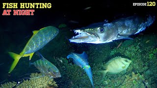 NIGHT SPEARFISHING EPISODE 120  FISH HUNTING AT NIGHT [upl. by Akiner945]