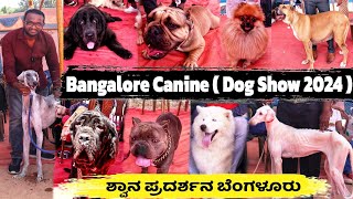 Dog Show 2024 🔥 ದೇಶಿ ವಿದೇಶಿ ಶ್ವಾನ ತಳಿಗಳ Dog Show 🐩🐕🐶  Bangalore Canine Association Dog Show 2024 [upl. by Kemble]