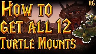 How To Obtain all 12 Turtle Mounts FOR THE HORDE  Easy Tutorial  World of Warcraft [upl. by Ajroj]