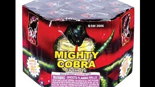 Mighty Cobra Shogun SSM2006 [upl. by Yatnwahs]