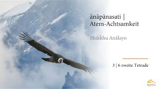 Bhikkhu Anālayo  ānāpānasati · AtemAchtsamkeit Deutsch  Zweite Tetrade 36 [upl. by Adnol]