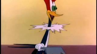 Best Woody Woodpecker Laugh [upl. by Handel]