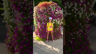 Visiting Latvia Jurmala  KIDS TRAVELING  Blooming summer flowers viral summer flowers travel [upl. by Dnar]