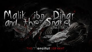 The Snake and Malik ibn Dinar  Powerful Emotional Story ᴴᴰ [upl. by Lenoj]