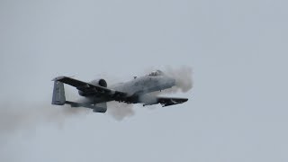 Awesome A10 quotWarthogquot Thunderbolt II 30 mm Cannon quotBrrrrrtquot Action at Hardwood Range [upl. by Hemphill86]