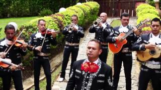 MI VIEJOMARIACHI VOCES DE AMERICA MEDELLIN COVER VICENTE FERNANDEZ [upl. by Brieta]