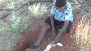 Aboriginal Bush Tucker Hunting with Margaret and Dorothy Napangardi [upl. by Vivica]