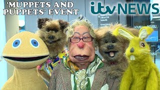 ITV NEWS  Muppets and Puppets event [upl. by Sidell530]