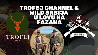 Trofej Channel i WILD Srbija u Lovu na FazanaTrofej Channel and WILD Srbija Pheasant hunting E219 [upl. by Sileas894]