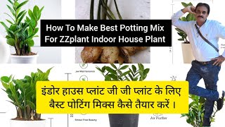 जी जी प्लांट के लिए बैस्ट पोटिंग मिक्स और उसके उपयोग के टिप्स । Tips To Make amp Use Best Potting Mix [upl. by Notsniw193]