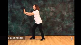 Tai Chi  The First Moves 1 2 3  Free Tai Chi Online Lessons [upl. by Kcirdderf]