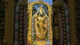 Tirumala December Angapradakshinam amp Senior Citizen  Handicapped Darshan Tickets tirumala laddu [upl. by Adiari]