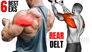 6 BEST REAR DELTOID EXERCISES AT GYM [upl. by Eimot466]