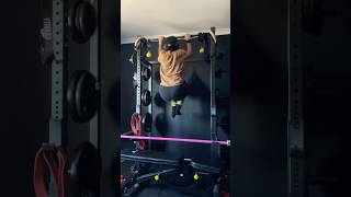 Day 24 Negative Pull Ups fitness [upl. by Walke]