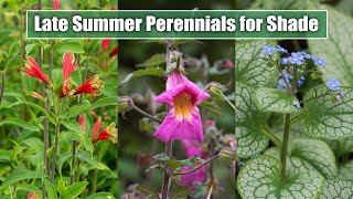 10 Late Summer Perennials for ShadePart Shade Garden Spot  August September Blooms [upl. by Pendergast]