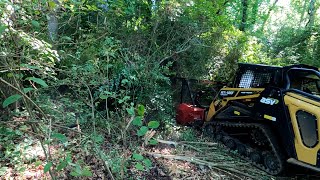 Forestry Mulching An Overgrown Backyard Creek [upl. by Drus]