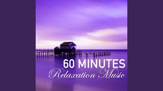 60 Minutes of Relaxation Music  1 Hour Song to Fall Asleep Fast Wellness Sleep Track [upl. by Leizo]