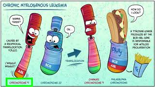 للأطباء chronic myeloid leukemia [upl. by Klement]