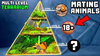 I made a multi level terrarium with 3 different animal species [upl. by Noivaz]