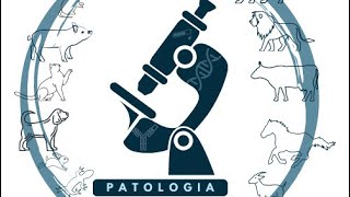 Generalidades de Patología General219968 [upl. by Nitsyrc]