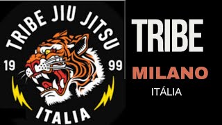 JIU JITSU EUROPEUTRIBE MILANO [upl. by Ezitram]