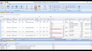 1 Sistema Professionista  Acquisizione consegna e interfaccia grafica importatore [upl. by Philipines763]