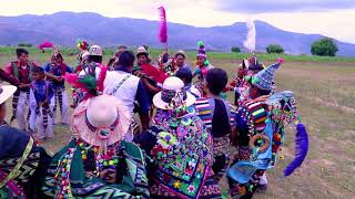 Los Brillantes de San Marcos  Satuco tolqetan  Carnaval 2019  ENCANTO PRODUCCIONES™ [upl. by Roanne967]