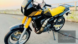 Yamaha TDR 250 [upl. by Peih111]