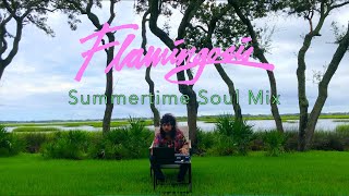 Flamingosis  Summertime Soul DJ Mixtape [upl. by Dulciana]