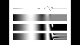 Traveling Waves in a 2D Model of the Cochlea [upl. by Aznecniv]