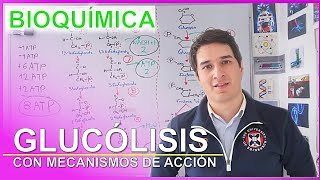 Glucólisis FÁCIL Nivel Experto para Principiantes  Camach Learn [upl. by Adnama297]